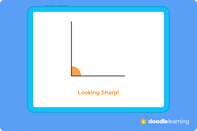 Measuring angles 3