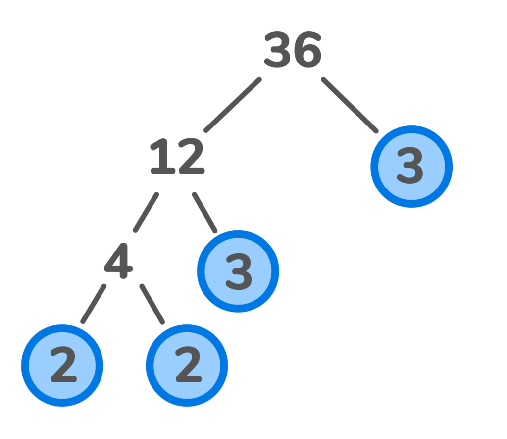 Prime factorization number tree of 36 equals 2 x 2 x 3 x 3